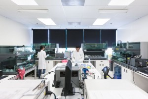 Estimating my Azheimer’s Disease Risk