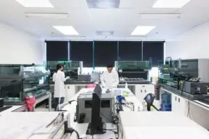 Estimating my Azheimer’s Disease Risk